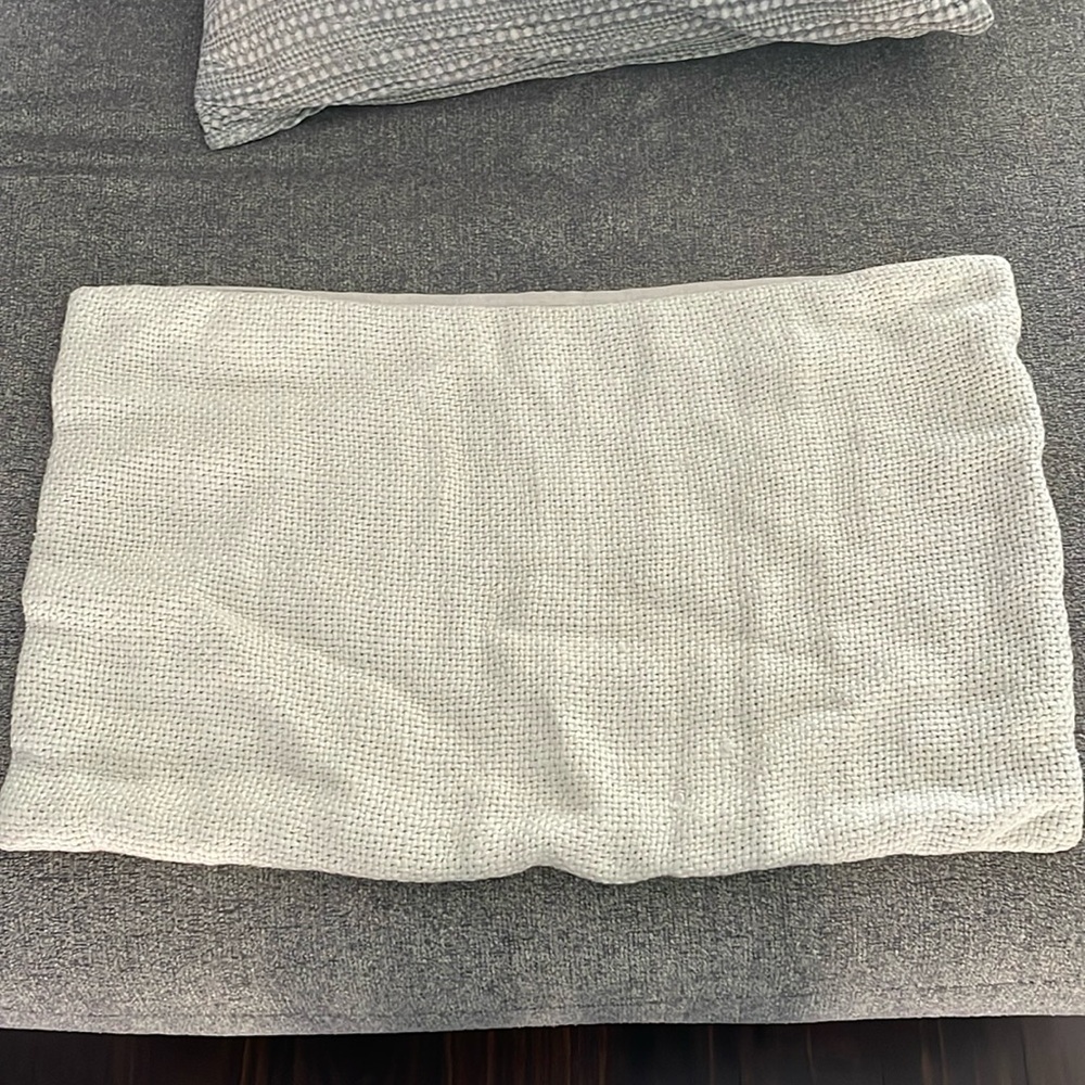 Pottery Barn Pillow Case